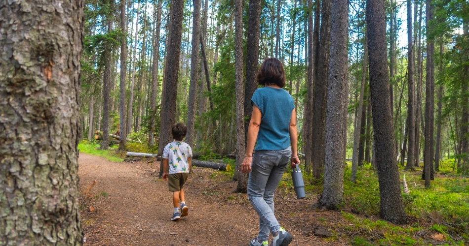 Must-See Places in Richmond: A Complete Exploration Guide